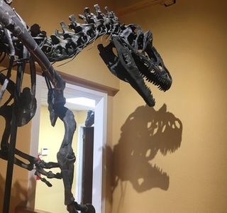 Paleon Museum in Glenrock