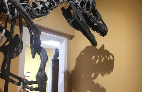 Paleon Museum in Glenrock