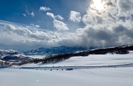 Summit Meadows Adventures