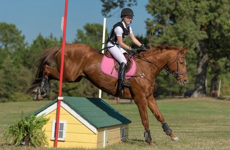Texas Rose Horse Park