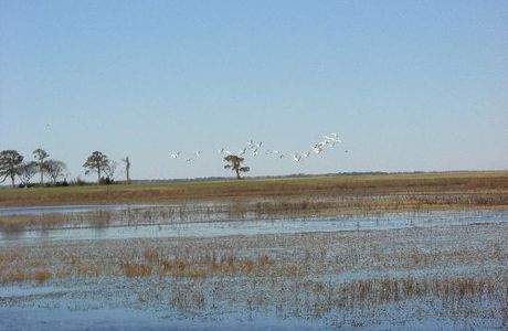 Mackay Island Wildlife Refuge