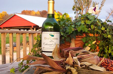 Rockbridge Vineyard