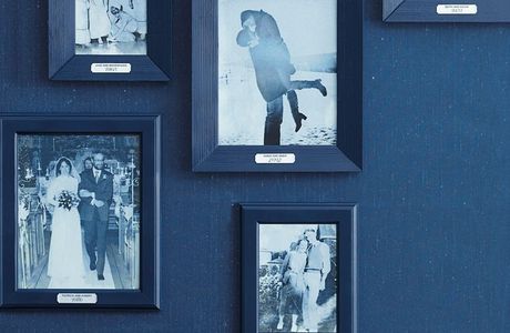 Blue Whole Gallery