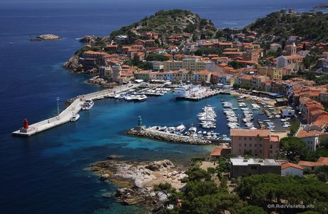 Bar Monti