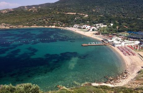 Mambo Beach Club