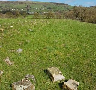 Navio Roman Fort and Vicus