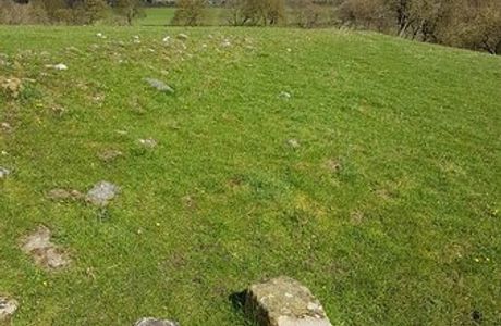 Navio Roman Fort and Vicus