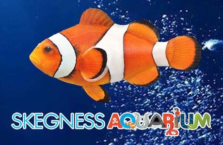 Skegness Aquarium