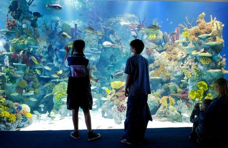 Bristol Aquarium