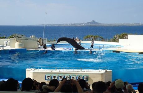 Okichan Theater