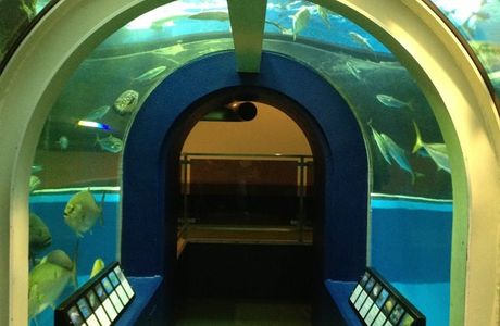 Uozu Aquarium