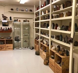 Kiddi's Workshop