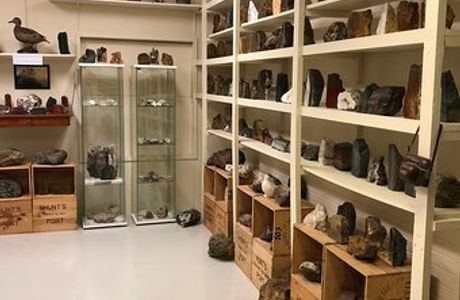 Kiddi's Workshop