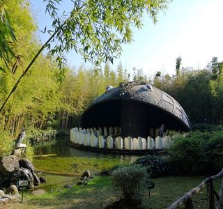 Parco di Pinocchio