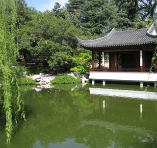 Xiaoshi Pond