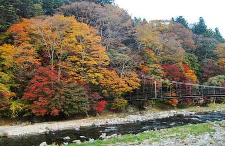 Kurenai Bridge