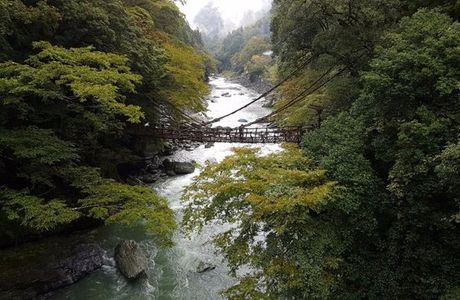 Okuiya Niju Kazurabashi Bridge