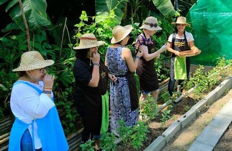 Island Organics Thai Cooking Class