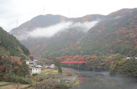 Ibikyo