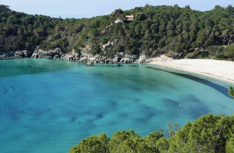 Spiaggia di Fetovaia