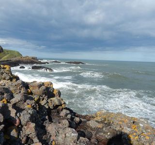 Catterline Bay