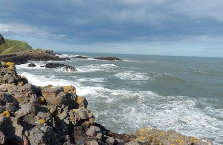 Catterline Bay