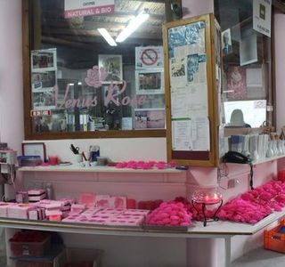 THE ROSE FACTORY CHRIS N. TSOLAKIS