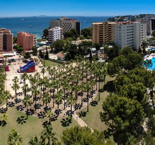 Olive Trail Mallorca