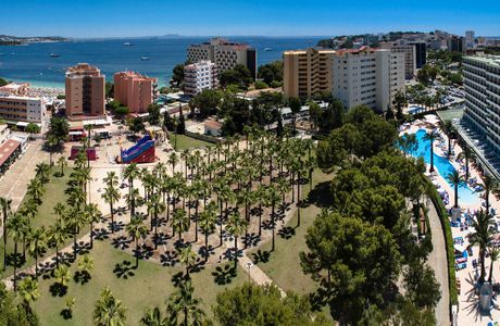 Olive Trail Mallorca