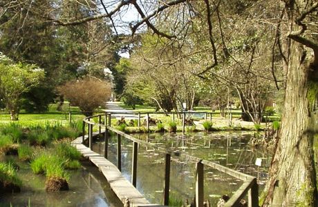 Orto Botanico di Lucca