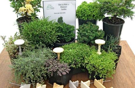 Brookside Garden Centre