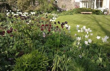 Woodland Cottage Garden