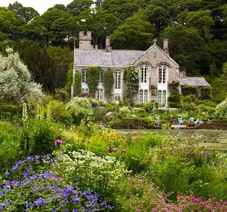 Froggery Cottage Garden