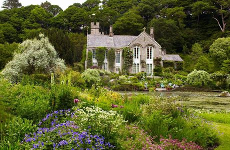 Froggery Cottage Garden