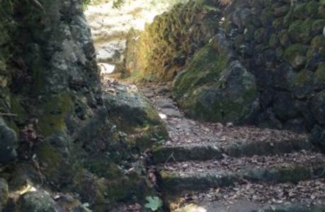 Barranc d'Algendar