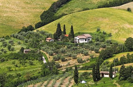On The Road In Chianti