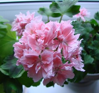 Godshill Weekly Craft Markets