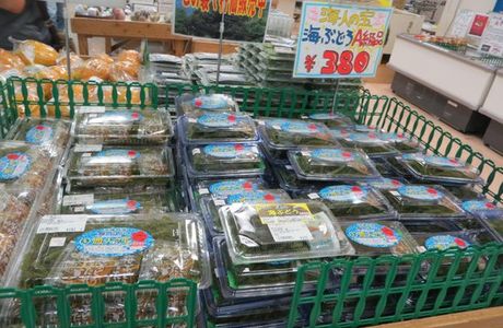 Farmer's Market Haisai! Yanbaru Market