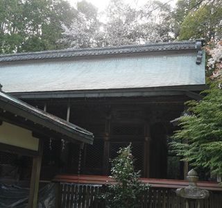 Nagaokakyo Ogurasansou, Honten