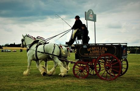 Barleylands Farm and Craft Village