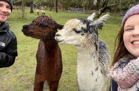 Huckleberry Woods - micro animal adventures