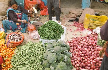 Ohira Vegetable Market
