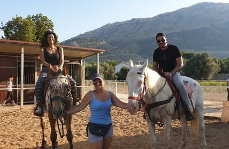 Azienda Agricola Bio Horses Country "Il Feudo Di Mezzo"