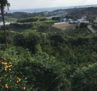 Tsukuihama Kanko Farm