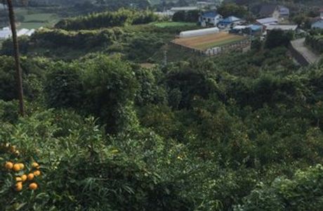 Tsukuihama Kanko Farm