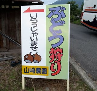 Yamazaki Farm