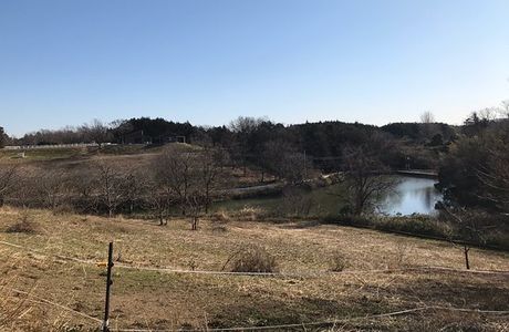 Yatsu no Sato Strawberry Farm