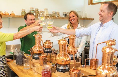 Devon Gin School