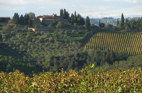 Castello della Paneretta Agriturismo Cooking Class