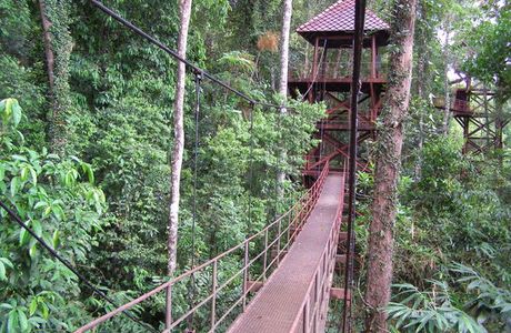 Thung Khai Botanical Garden